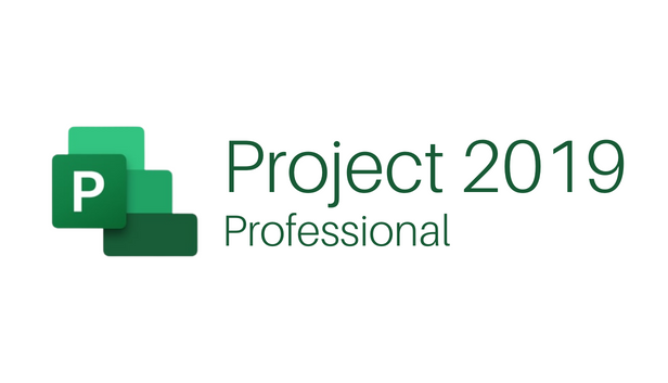 Microsoft Project 2019 Professional Project Management Software