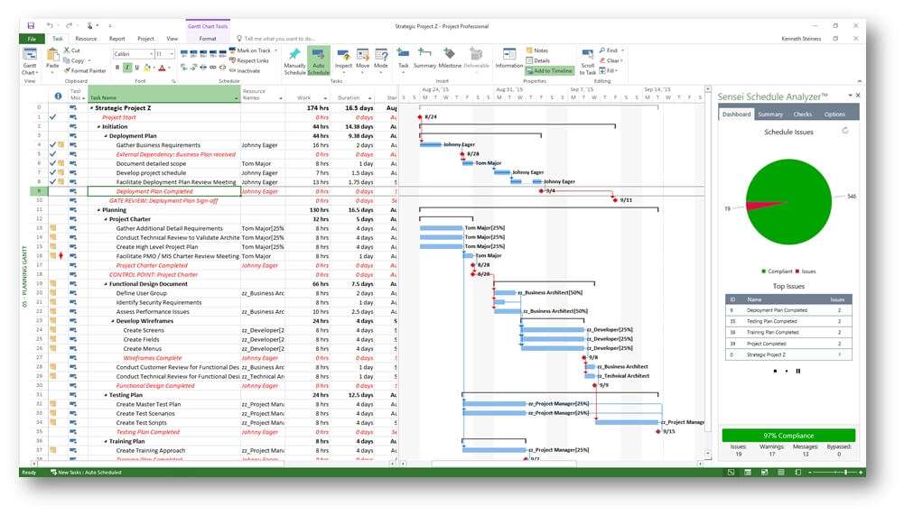 Microsoft Project 2019 analytics dashboard and performance reporting